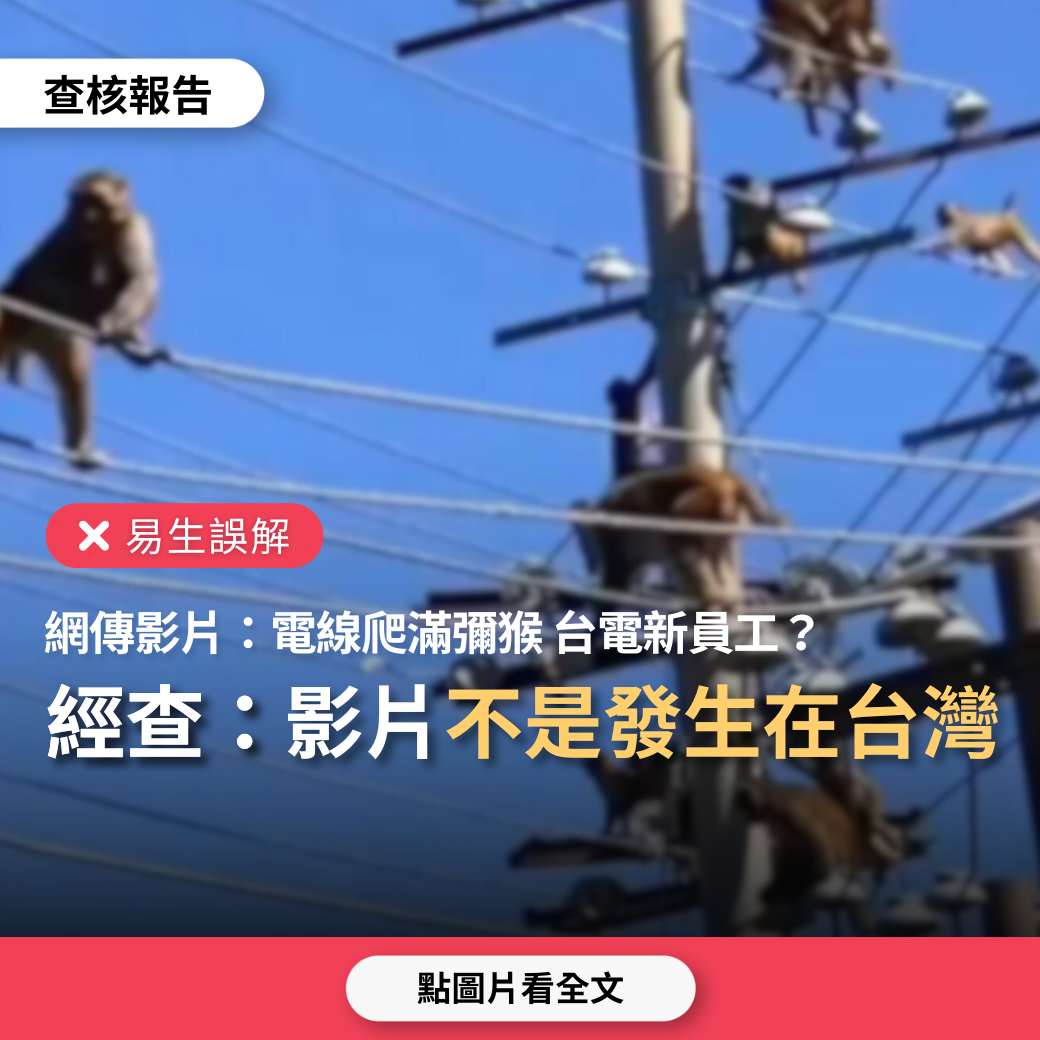 【易生誤解】網傳影片「台電新員工，電線上爬滿獼猴」？